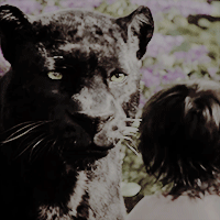 spideywebs:animation meme: [8] characters  →  bagheeraeverybody knew bagheera, a