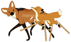 manedarchive:  “Stilts Fox” T-Shirt (+more!) Design | My Redbubble a new design! this time an original one. based on the fact maned wolves are also known as “foxes on stilts” (and there is just NOT enough maned wolf merch in this world). it’s