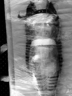 ilovemysir:I was saran wrapped to a air mattress