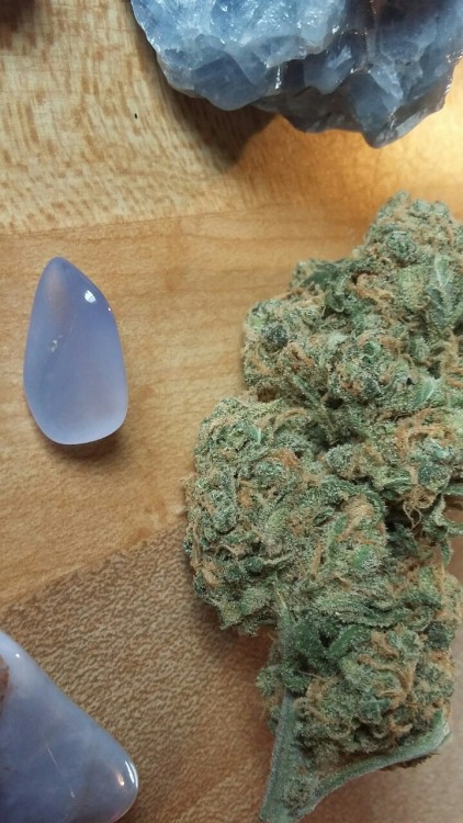 smoketogethighcustheworldissolow: smoketogethighcustheworldissolow:  All blue everything   I just de