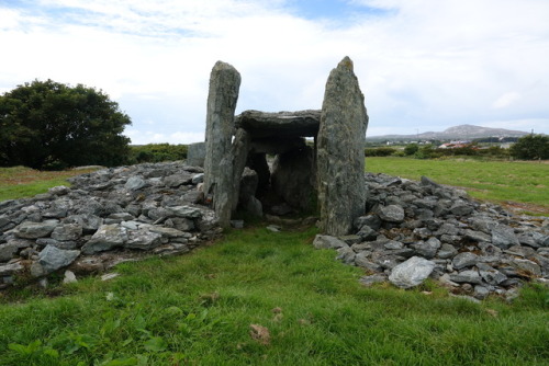 Trefignath Burial Chamber, Anglesey, 31.7.17. This site is one of the most impressive on Anglesey 