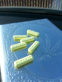 Xanax bars,totum polls,yellow school bus time release fuck u up! Don&rsquo;t go any where:)