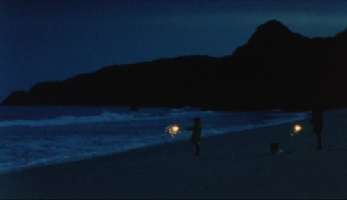 lostinpersona: Water Flower, Yusuke Kinoshita (2005)  