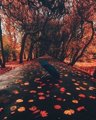 ebrasc:Autumn lover
