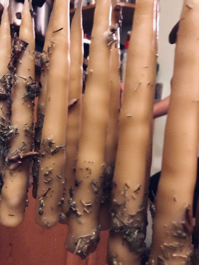 a row of beeswax candles hang from a stick. the wax is a warm, buttery yellow and the candles are crusted in an uneven covering of herbs and cottonwood buds.