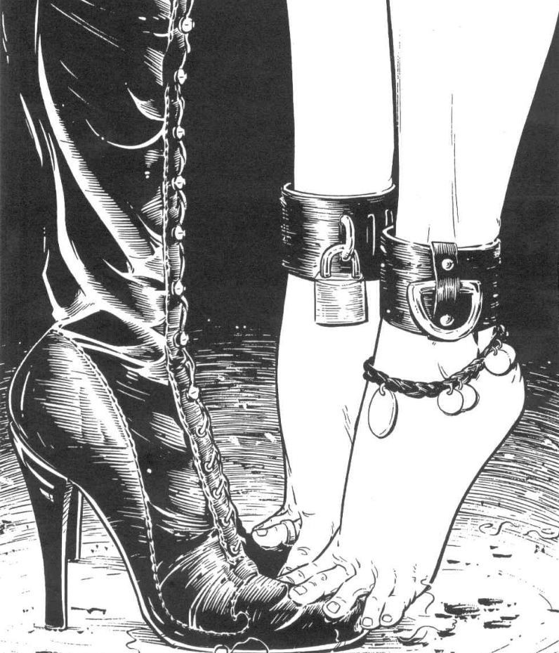 BDSM Toons are FUN