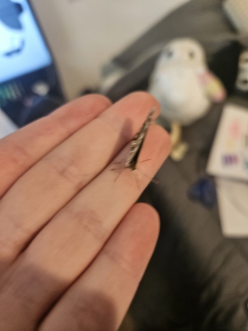 I Made A Friend :D