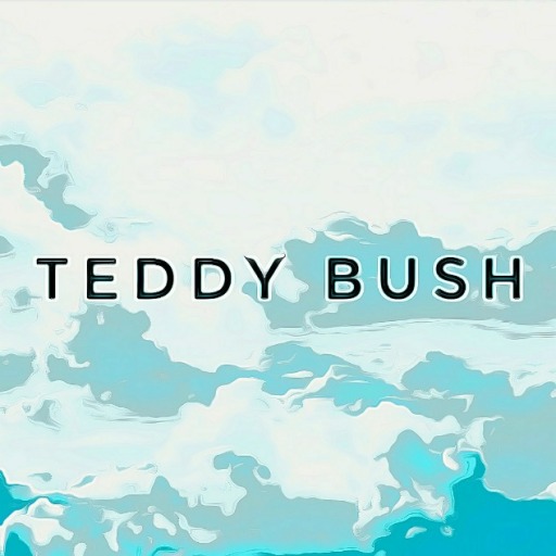teddybush: