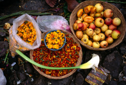 unearthedviews:    GUATEMALA. Chichicastenango. 1991. Fruit and flower petals on the market at St. Thomas cathedral.   © Thomas Hoepker/Magnum Photos   