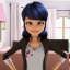 miraculous-ladybug-stufff