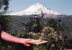 kelseyahayden:camp breakfast on 35mm film  mt. hood // or.