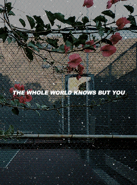 dailyladylyrics:hard feelings by lorde