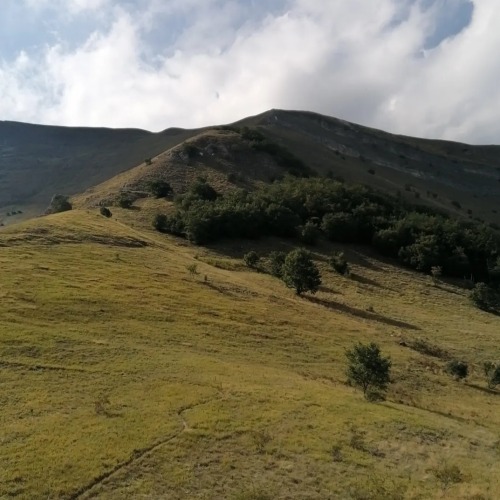 La Natura Non Ha Fretta Eppure Tutto Si Realizza Demoni di cartapesta - La natura non ha fretta, eppure tutto si...