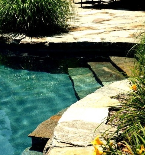 Natural Pool In New YorkExample Of A Mid-sized Mountain Style Backyard Stone And Custom-shaped Natural