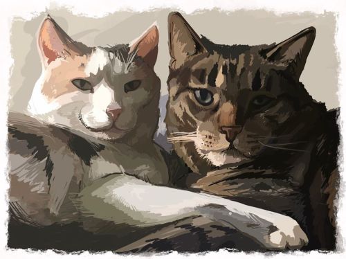 My bae Michael’s cats, Snickers and Pixel &lt;3 #petportrait #catportrait #catpainting #procreate #c