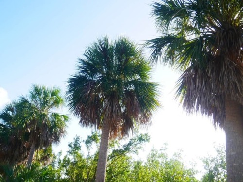 There&rsquo;s something about Miami&hellip; The air, the palm trees, the excessive rain. Wha