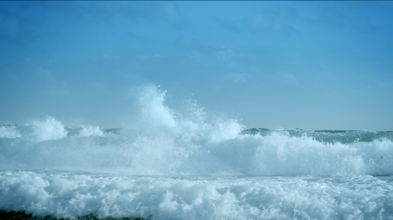 twimclabel:  iamamiwhoami; blue blue