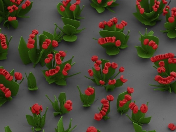 sixpenceee:  Harvard Scientist Grows Microscopic FlowersInside a tiny beaker of water