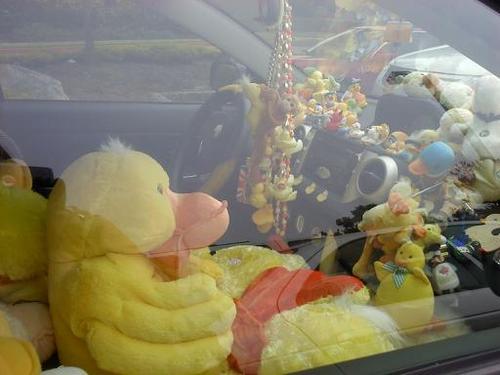 overtheunderpass:  there’s this car where i’m from, known pretty well by people as “the duck car” and i finally saw it and it beats every celebrity sighting    