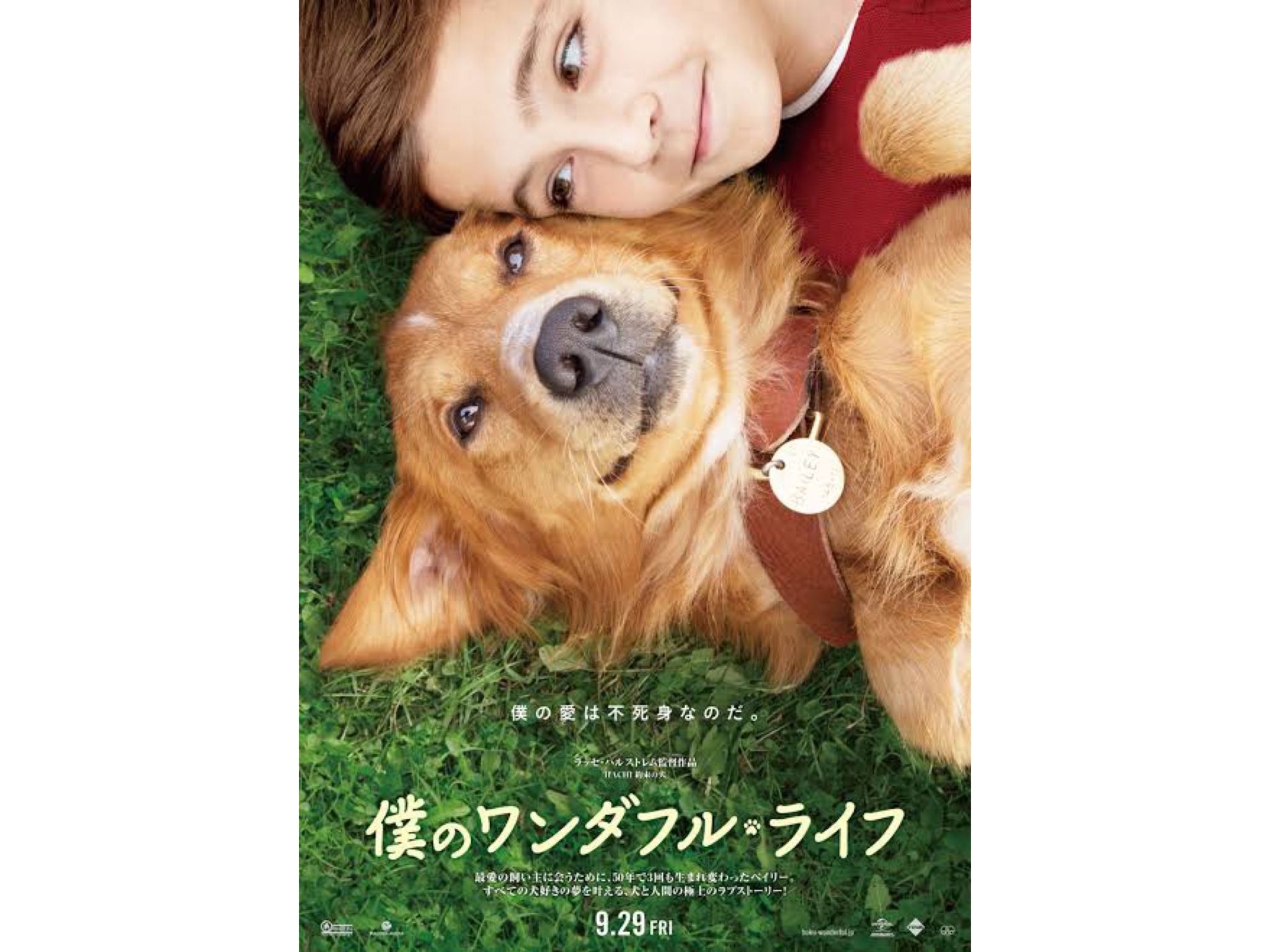 ワンダフルライフ Explore Tumblr Posts And Blogs Tumgir ワンダフルライフ Explore Tumblr Posts And Blogs Tumgir
