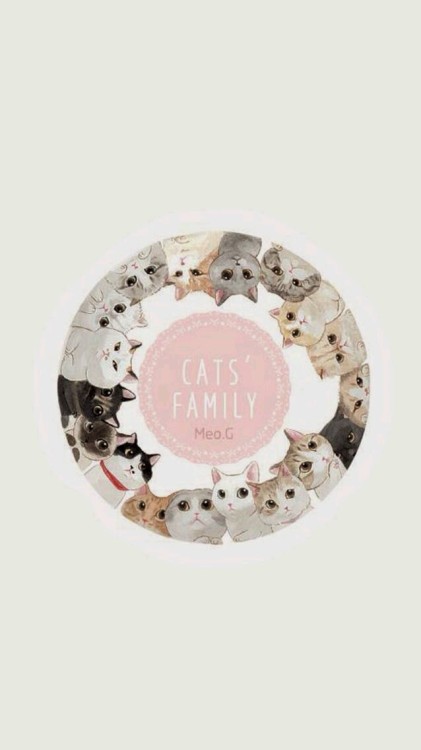 WALLPAPERS GATOS/CATS | DÊ LIKE!