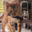 vandalcat