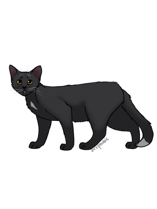 A lil` Ravenpaw