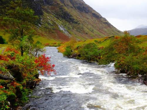 90377: Glen Etive, Scotland, Autumn 2017 by Janpram
