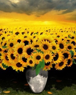 bbbwitched:  tx-gentleman:  - Sunflowers  Fave.
