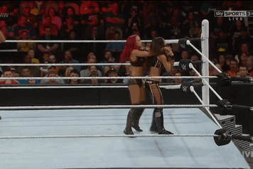 Wrestling Giffer