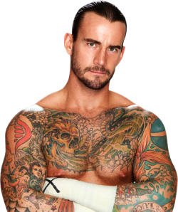 beardedandburly:  Phillip Jack Brooks better known by his ring name CM Punk, American professional wrestler signed with WWE. [View all posts of CM Punk] [Follow BeardedandBurly]