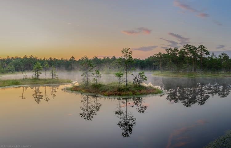 sci-universe:  The magical bogs of Estonia  Image credit from the top (please don’t