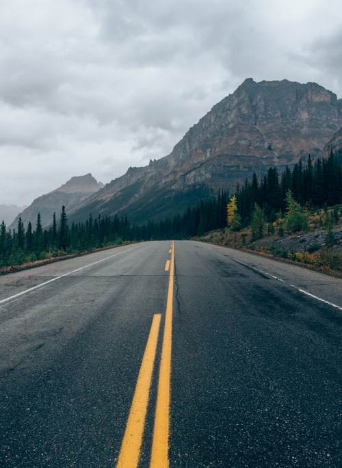 nevver:  You have come to the end of the world, keep walking - Griffin Lamb 