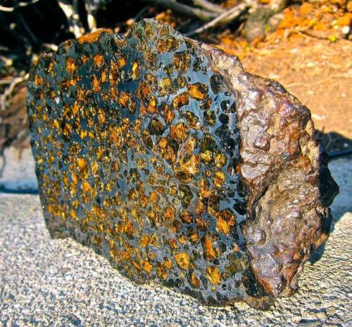 earthstory:Meteorite magnetism reveals secrets of early solar systemPallasites are the most attracti
