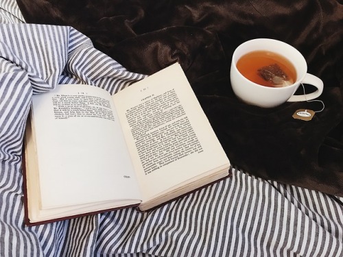 ohk4te:the reading situation / breaking that ‘no homework in bed’ rule yet again because -30 absolut