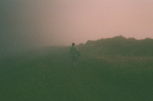 disclosur:   	50750014 by Natalie Wilson    	Via Flickr: 	instagram / / tumblr   