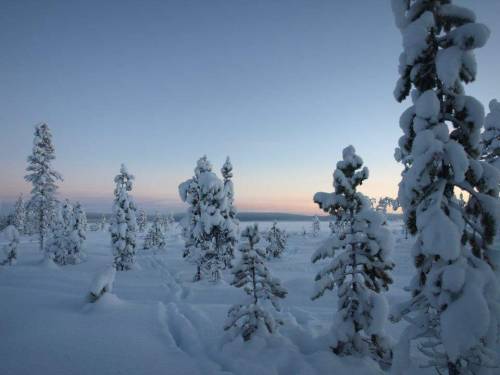 split-in-thirds:In a little town called Jukkasjärvi in Northern Sweden - near the Ice Hotel and the 
