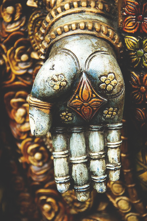 wild-souls:  wild-souls 