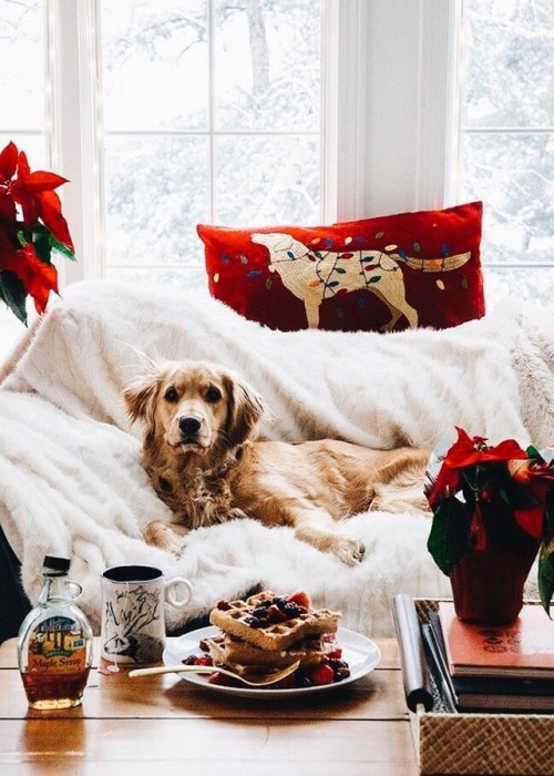 secularxmas:  SecularXmas ⛄ A non-religious Christmas blog to bring everyone together!