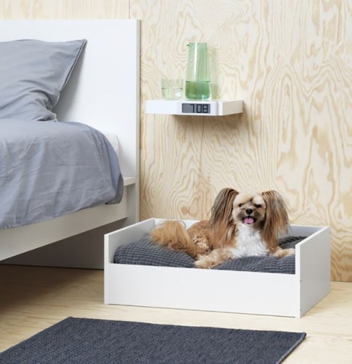 mymodernmet: IKEA Unveils New Pet Furniture Collection Designed in Partnership with Veterinarians