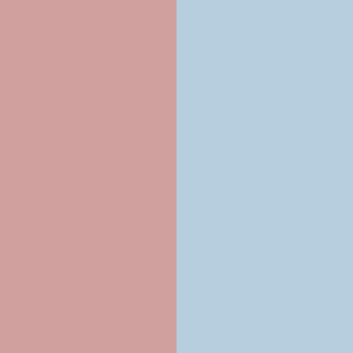 colorandcolor: color and color 33122 - #cfa09e and #b6cedd