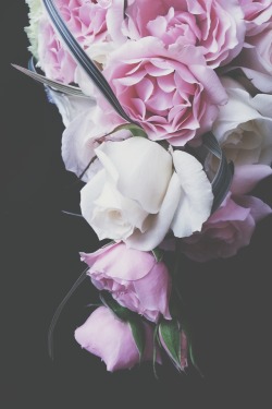 erinparishawaii:  www.erinparis.com