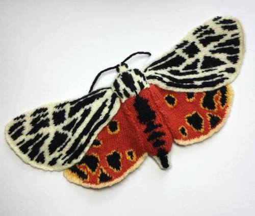lustik:Knitting moths by Max Alexander.