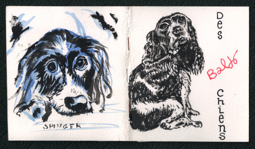 DES CHIENS Par Baldo, Cahier Maison Agraf 12 X14 Cm