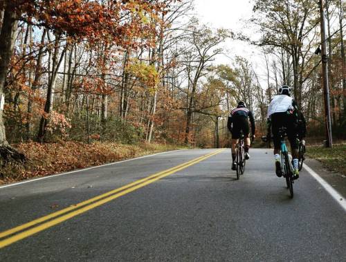 #fallvibes with a #flappygilet #cycling