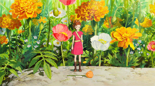 STUDIO GHIBLI + Flowers