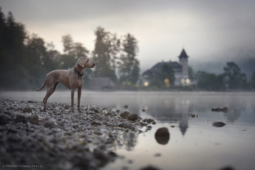 little-fox-adventures:    Anne Geier   