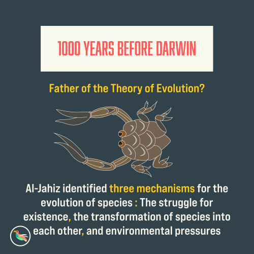 wallaceevolution:Special post for reaching 1000 followers on instagram! While Darwin is often c