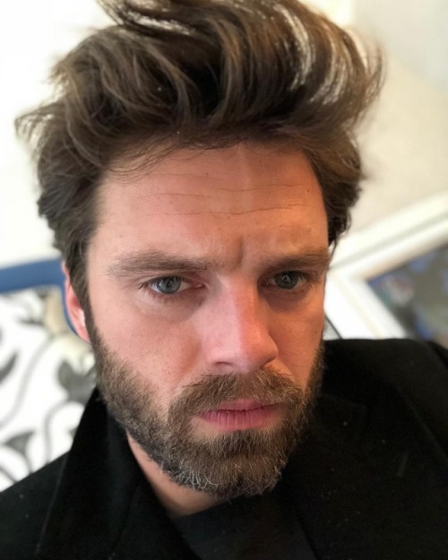 dailyevanstan: @imsebastianstan: I got the new iPhone X and used the camera for selfish purposes.