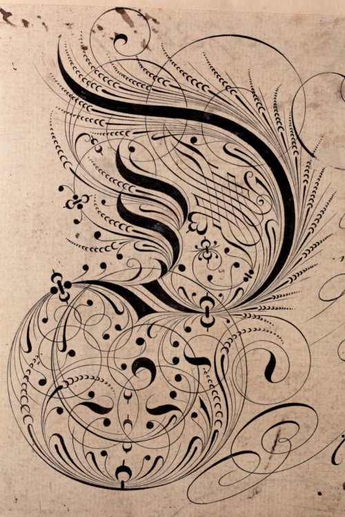 michaelmoonsbookshop:michaelmoonsbookshop:elaborate calligraphy by Edward Cocker Early 18th century 